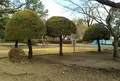 豊川公園の写真_574571