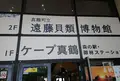 ケープ真鶴の写真_585324