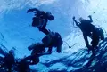 城ヶ島ダイビングセンターの写真_659396