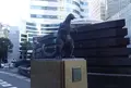 ゴジラ像の写真_691659