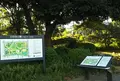 日比谷公園の写真_691662