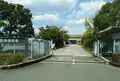 阪神競馬場の写真_792992