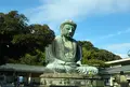 鎌倉大仏（高徳院）の写真_810451