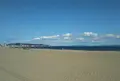 三浦海岸海水浴場の写真_814876