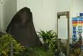 大衆帰本塚の碑の写真_839123