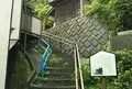 愛宕山公園の写真_871634