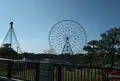 ダイヤと花の大観覧車の写真_883586