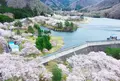 大野ダムの写真_885462