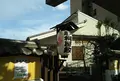 亀戸梅屋敷の写真_886722