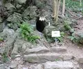 恵利原の水穴の写真_81950