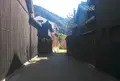 長良川鵜飼観覧船の写真_63558