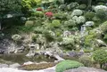 法樹寺の写真_39000