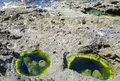波蝕甌穴群の写真_184190