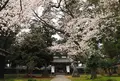 藤基神社の写真_461827