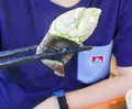 KAN-ICHI カンイチの写真_304461