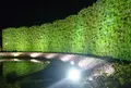 あしかがフラワーパークの写真_75679