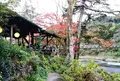 澤乃井園　清流ガーデンの写真_459529