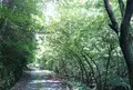 多々良木ダム湖の写真_38930