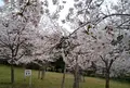 北畠史跡公園の写真_176945