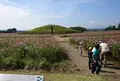 （天川）二子山古墳の写真_316559