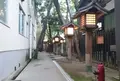 新潟総鎮守 白山神社の写真_41085