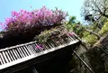 農芸茶屋 四季の彩の写真_71745
