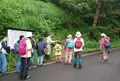 船上山屏風岩の写真_137943
