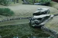 栗林公園の写真_249366