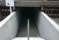 新潟総鎮守 白山神社の写真_41082