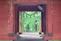 戸隠神社奥社の写真_1182631