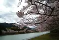 大台町Ｂ＆Ｇ海洋センターの写真_176936