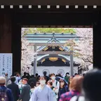 【令和8年春】靖國神社の桜とイベント完全ガイド｜夜桜詣・奉納行事・参拝マナーまで
