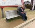 辻川山公園の写真_173897