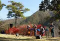 大野ダムの写真_473625
