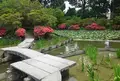 梅宮大社の写真_79087