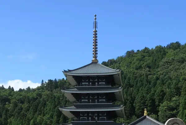 大師山清大寺・越前大仏の写真・動画_image_203868