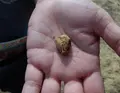 興福寺の写真_91311