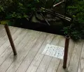 宝泉院の写真_85451