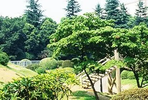 箱根山