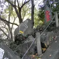駒込富士神社の写真_101272