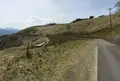 大野山の写真_136395