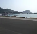 油津旧漁港の写真_154723