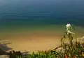 エデンの海パーキングエリアの写真_167243