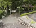 八坂神社の写真_213059