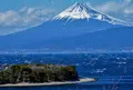 富士山ビュースポット・西浦江梨の写真_445707