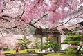 龍野城の写真_172921