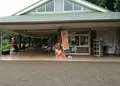新宿御苑の写真_109374