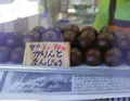 道の駅キラメッセ室戸の写真_46395