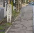 さわらびの道の写真_293390