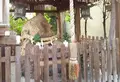 岩上神社(岩上さん)の写真_130166